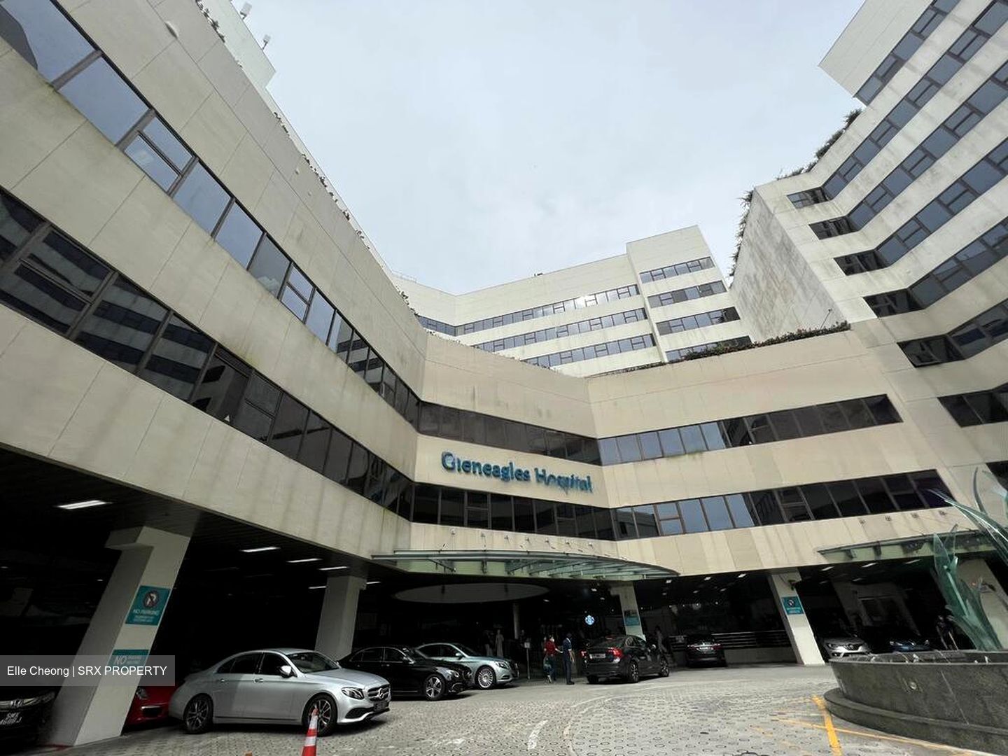 Gleneagles Hospital (D10), Retail #517598281